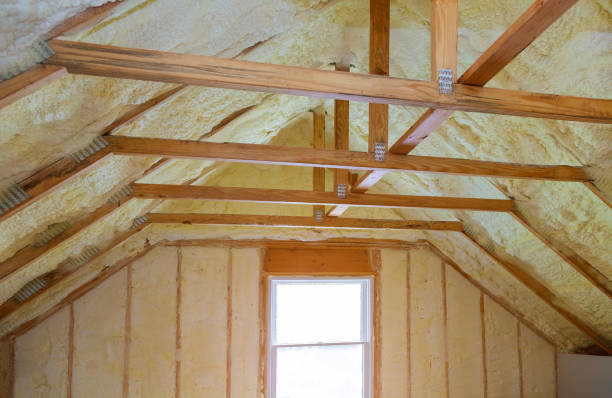 Best Spray Foam Insulation in Sanborn, IA